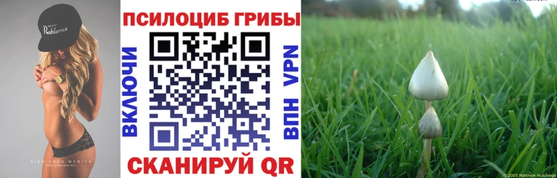 Псилоцибиновые грибы Psilocybe  мега как войти  Солнечногорск 